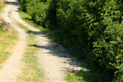 2013-07-19_um_18-12-22