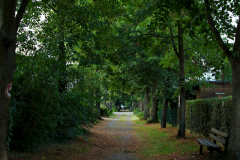 2013-08-14_um_19-28-18