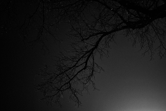 2013-12-12_um_19-12-24