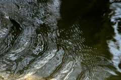 2014-02-01_um_10-46-05