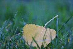 2014-10-01_um_07-33-35