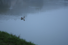 2014-10-01_um_07-36-07