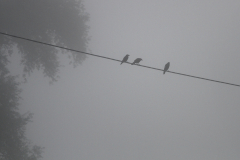 2014-10-02_um_09-38-32