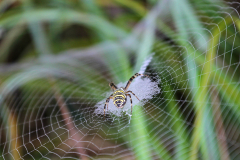 2014-10-02_um_09-48-49