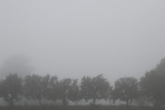 2014-10-02_um_09-58-38