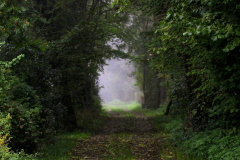 2014-10-02_um_10-17-53