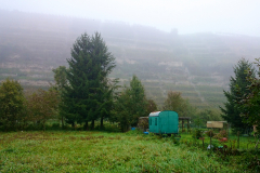 2014-10-02_um_10-31-26