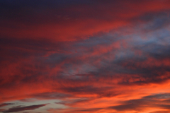 2014-10-09_um_07-22-31