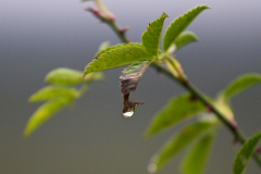 2014-10-10_um_17-37-41