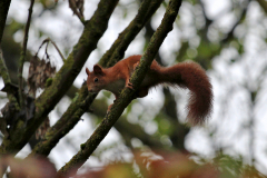2014-10-11_um_08-21-22