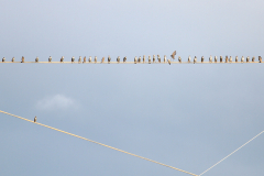 2014-10-11_um_17-02-24