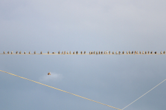 2014-10-11_um_17-02-37