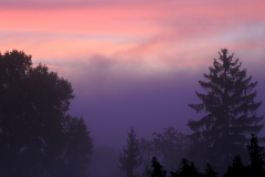 2014-10-27_um_07-51-05