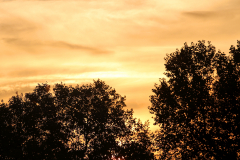 2014-10-27_um_08-15-24