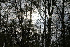 2014-10-31_um_10-27-35