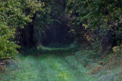 2014-10-31_um_10-38-56