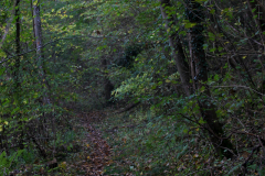 2014-10-31_um_10-46-58