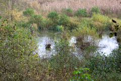 2014-10-31_um_11-20-29
