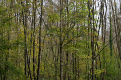 2014-10-31_um_11-25-44