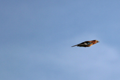 2014-11-02_um_15-46-16