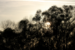 2014-11-02_um_16-08-50