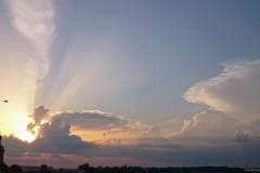 2015-07-03_um_06-12-43