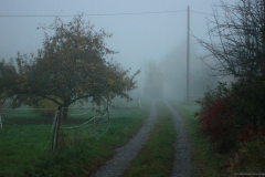 2015-11-02_um_07-07-46