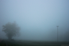 2015-11-02_um_07-08-05