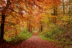 2015-11-02_um_16-05-26