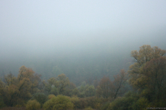 2015-11-02_um_16-12-16