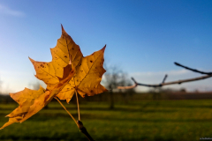 2015-11-15_um_15-24-41