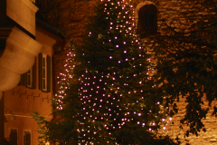 2015-12-02_um_19-04-51