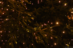 2015-12-02_um_19-05-29