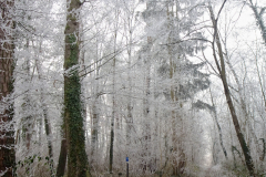 2017-01-01_um_14-41-37