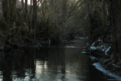 2017-01-20_um_17-51-05