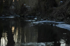 2017-01-20_um_17-54-50