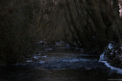 2017-01-20_um_18-04-13