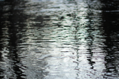 2017-01-20_um_18-04-54