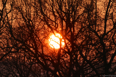 2017-01-21_um_09-22-57_1