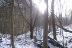 2017-01-29_140958_360