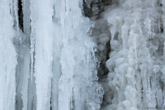 2017-01-29_um_14-47-50