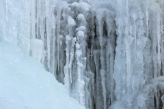 2017-01-29_um_14-48-05