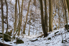 2017-01-29_um_14-49-37