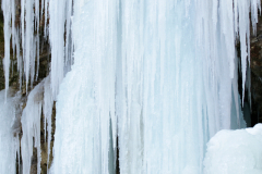 2017-01-29_um_14-50-47