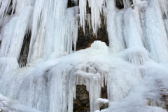 2017-01-29_um_14-52-11