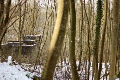 2017-01-29_um_14-57-23