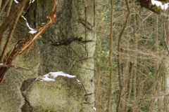 2017-01-29_um_14-58-48