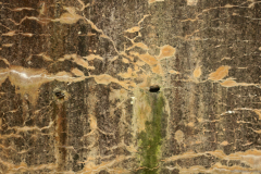 2017-01-29_um_14-59-31