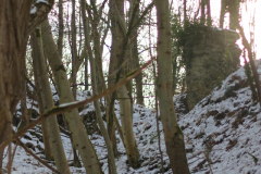 2017-01-29_um_15-03-56