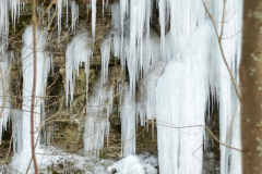 2017-01-29_um_15-07-05